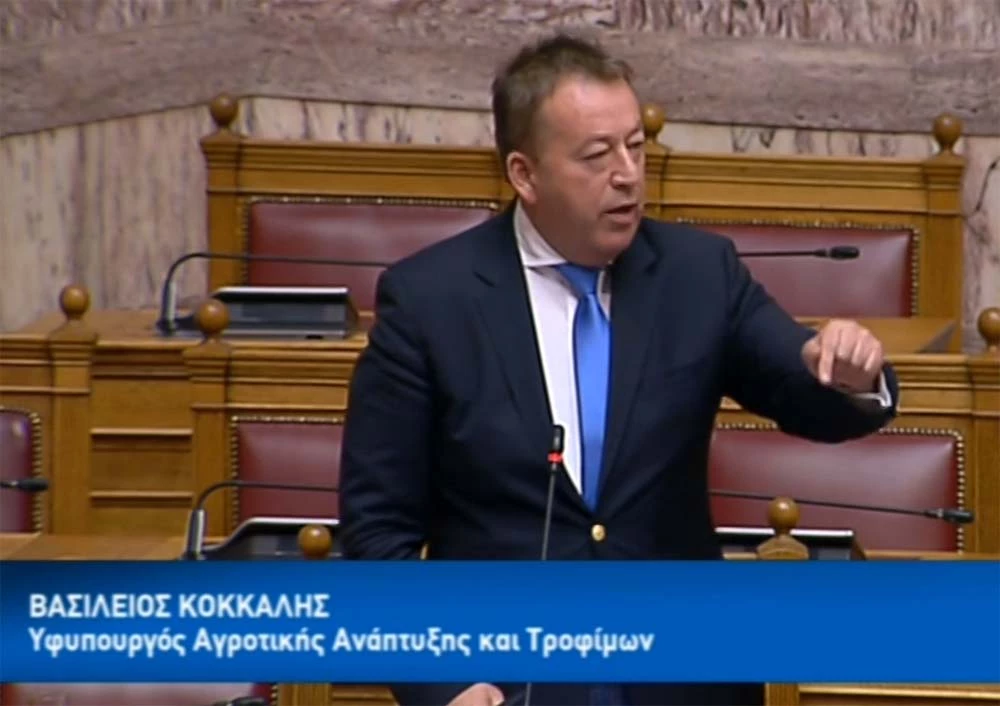 Κόκκαλης για συλλαλητήριο: Παραμένουμε πατριωτικό ανάχωμα σε κάθε ενδεχόμενη αμφισβήτηση εθνικών συμφερόντων